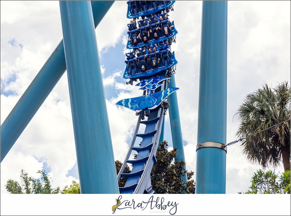 Our Week Long Trip to Florida The Adventuring Abbeys