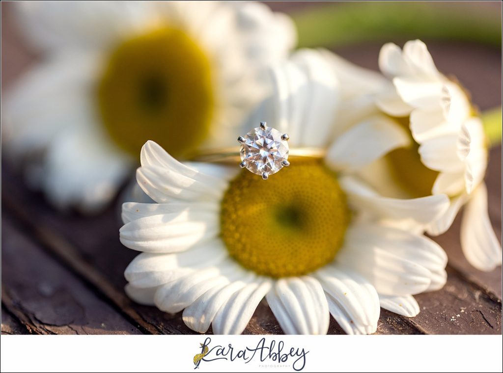 Summer Engagement Photography at Twin Lakes Park in Greensburg, PA