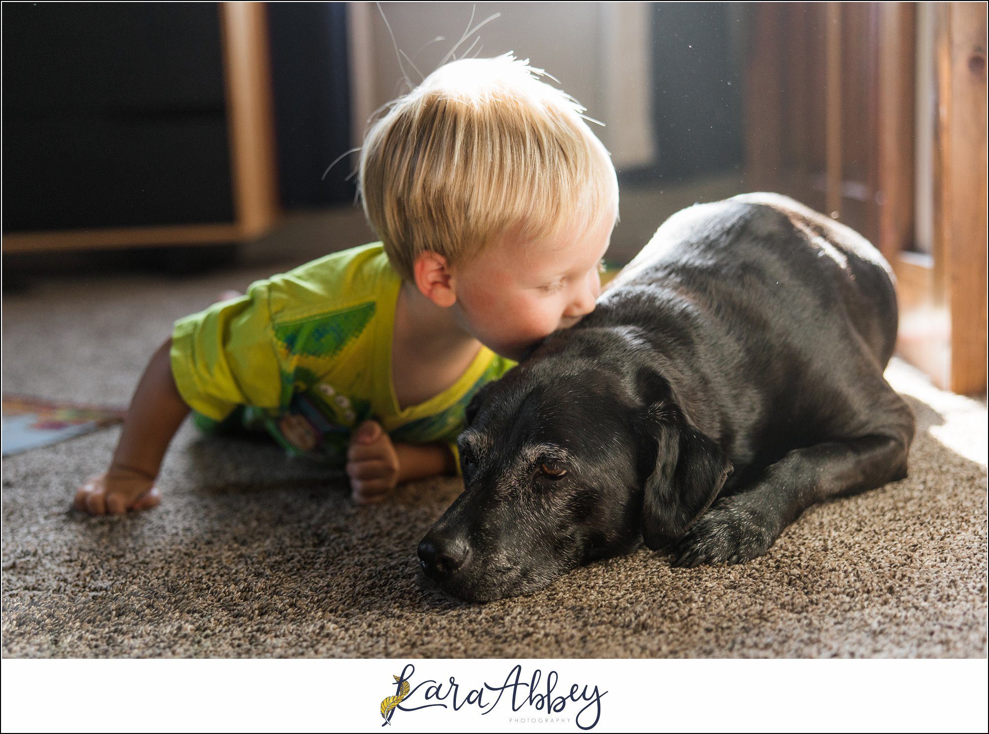 Abbys Saturday Toddler Kissing Black Lab in Irwin PA