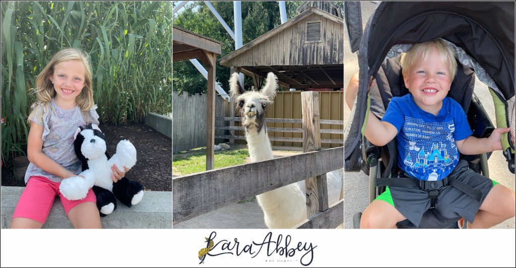 Our Trip to The Cedar Point Resort The Adventuring Abbeys Vlog