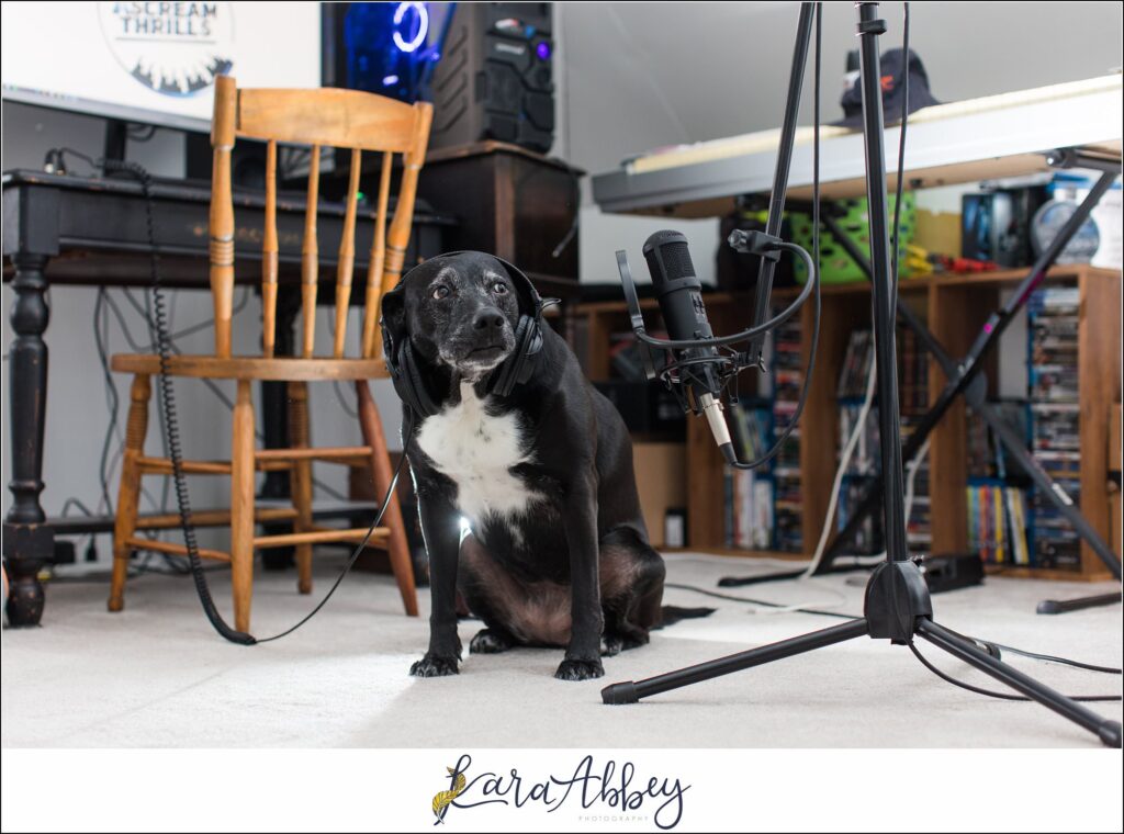 Abbys Saturday Bloopers from 2021 Silly Photos of a Black Lab