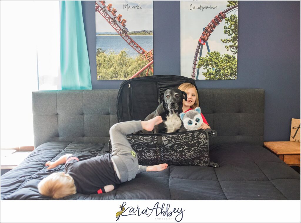 Abbys Saturday Bloopers from 2021 Silly Photos of a Black Lab