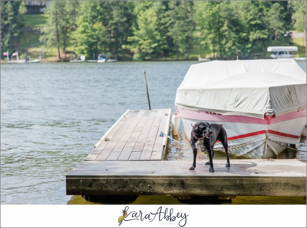 Abbys Saturday Bloopers from 2021 Silly Photos of a Black Lab