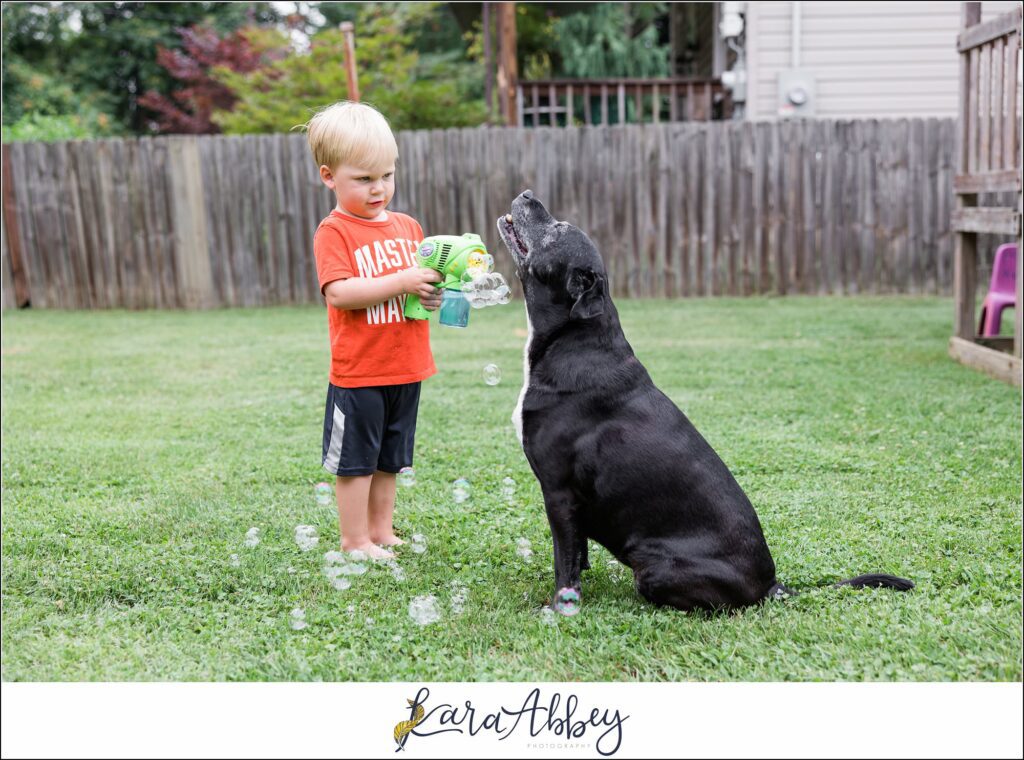 Abbys Saturday Bloopers from 2021 Silly Photos of a Black Lab