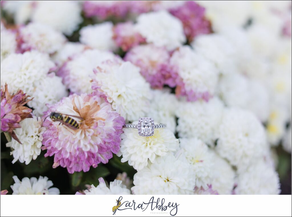Amazing Engagement Session Photos by Wedding Photographer in Irwin PA