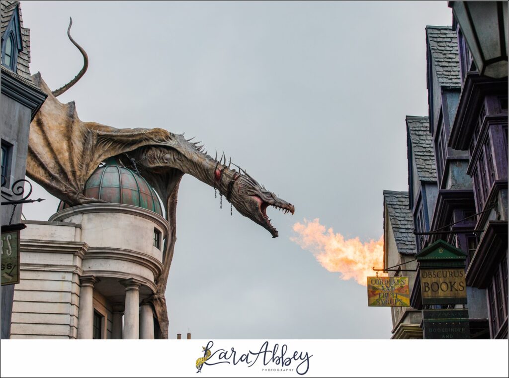 Universal Studios and Islands of Adventure in Orlando FL Trip