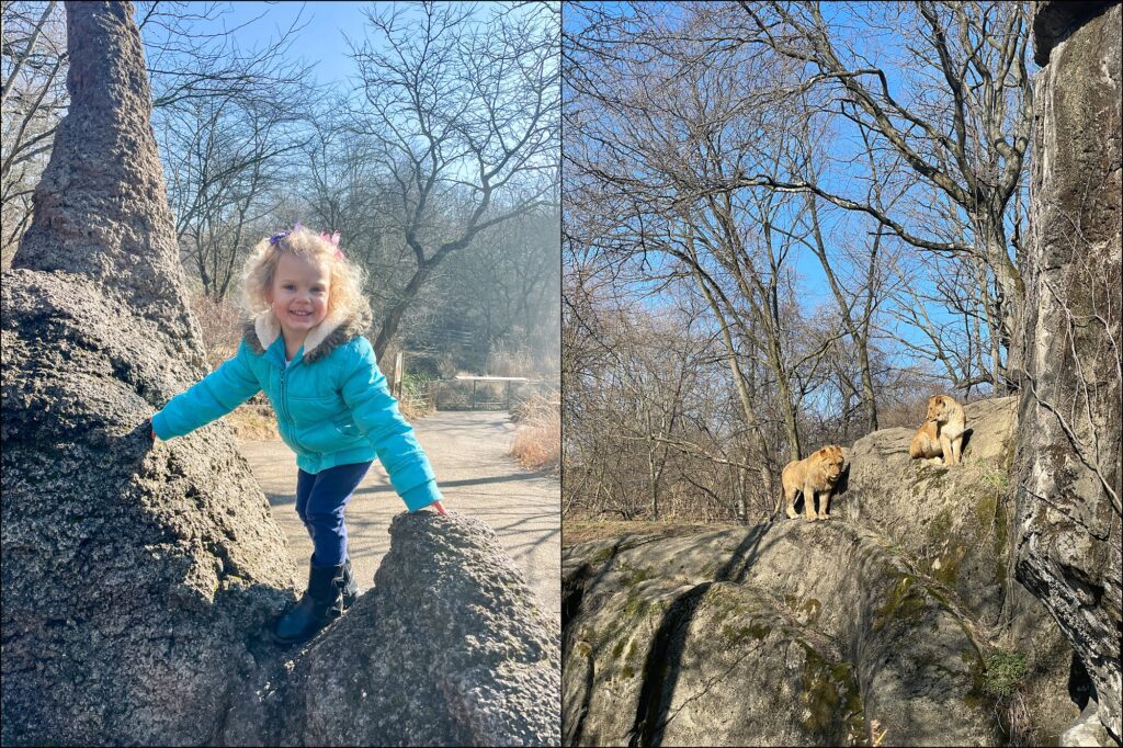 A visit to The Pittsburgh Zoo & PPG Aquarium Family Vlog