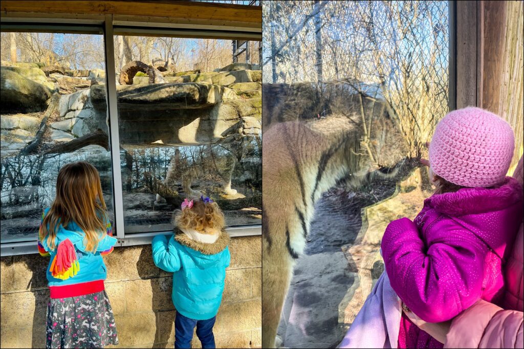 A visit to The Pittsburgh Zoo & PPG Aquarium Family Vlog