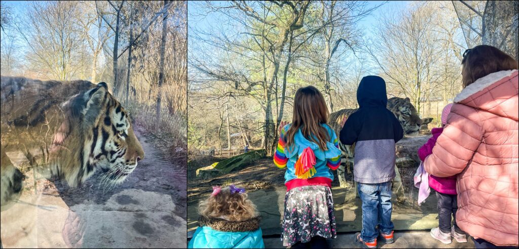 A visit to The Pittsburgh Zoo & PPG Aquarium Family Vlog