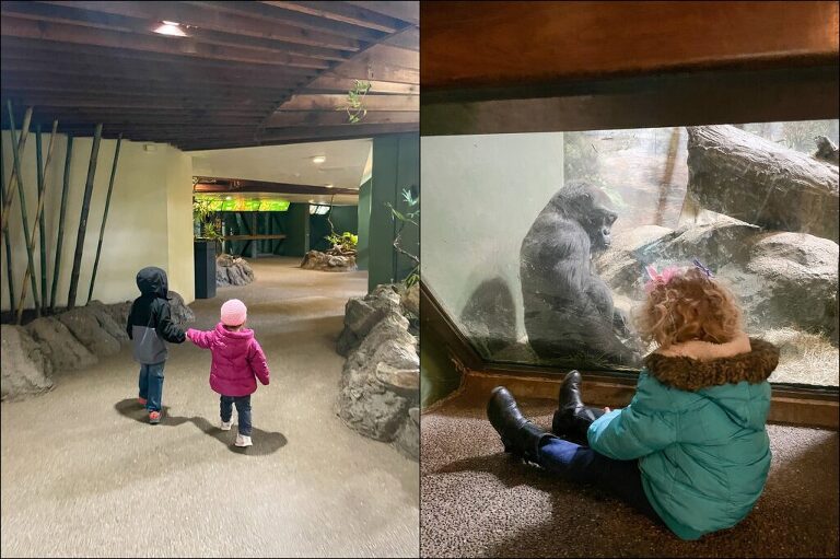 The Pittsburgh Zoo & PPG Aquarium Mini Vlog | The Adventuring Abbeys