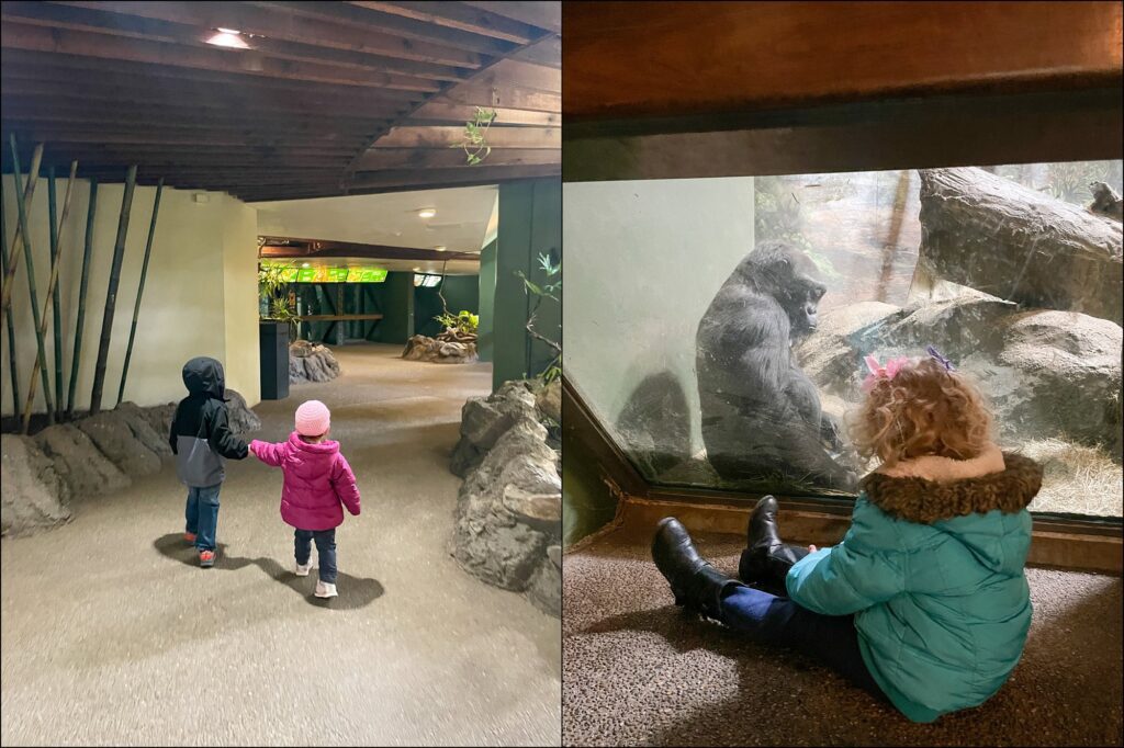 A visit to The Pittsburgh Zoo & PPG Aquarium Family Vlog