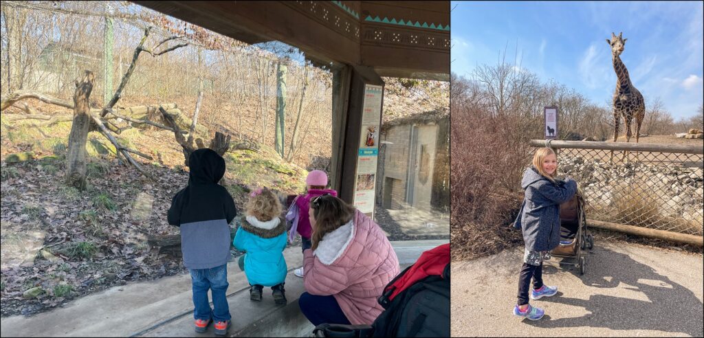 A visit to The Pittsburgh Zoo & PPG Aquarium Family Vlog