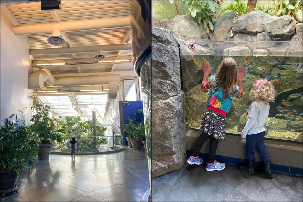 A visit to The Pittsburgh Zoo & PPG Aquarium Family Vlog