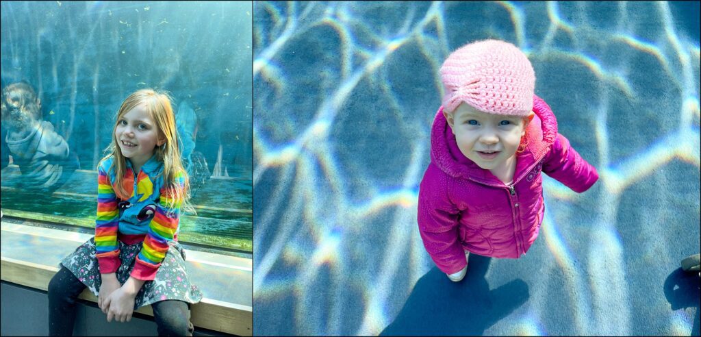 A visit to The Pittsburgh Zoo & PPG Aquarium Family Vlog