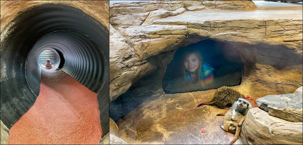 A visit to The Pittsburgh Zoo & PPG Aquarium Family Vlog