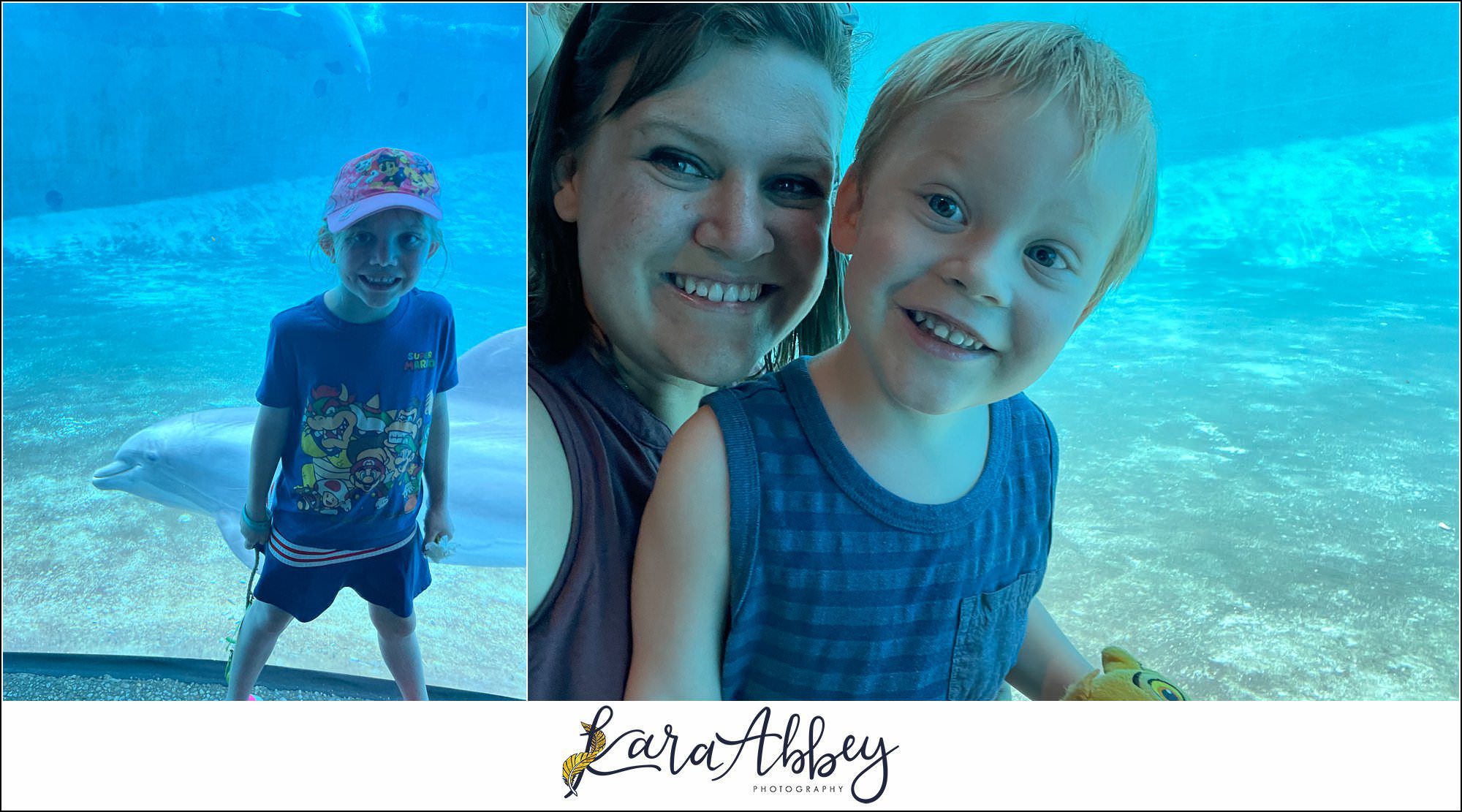 The Adventuring Abbeys go to Sea World Orlando in 2022 Family Vlog