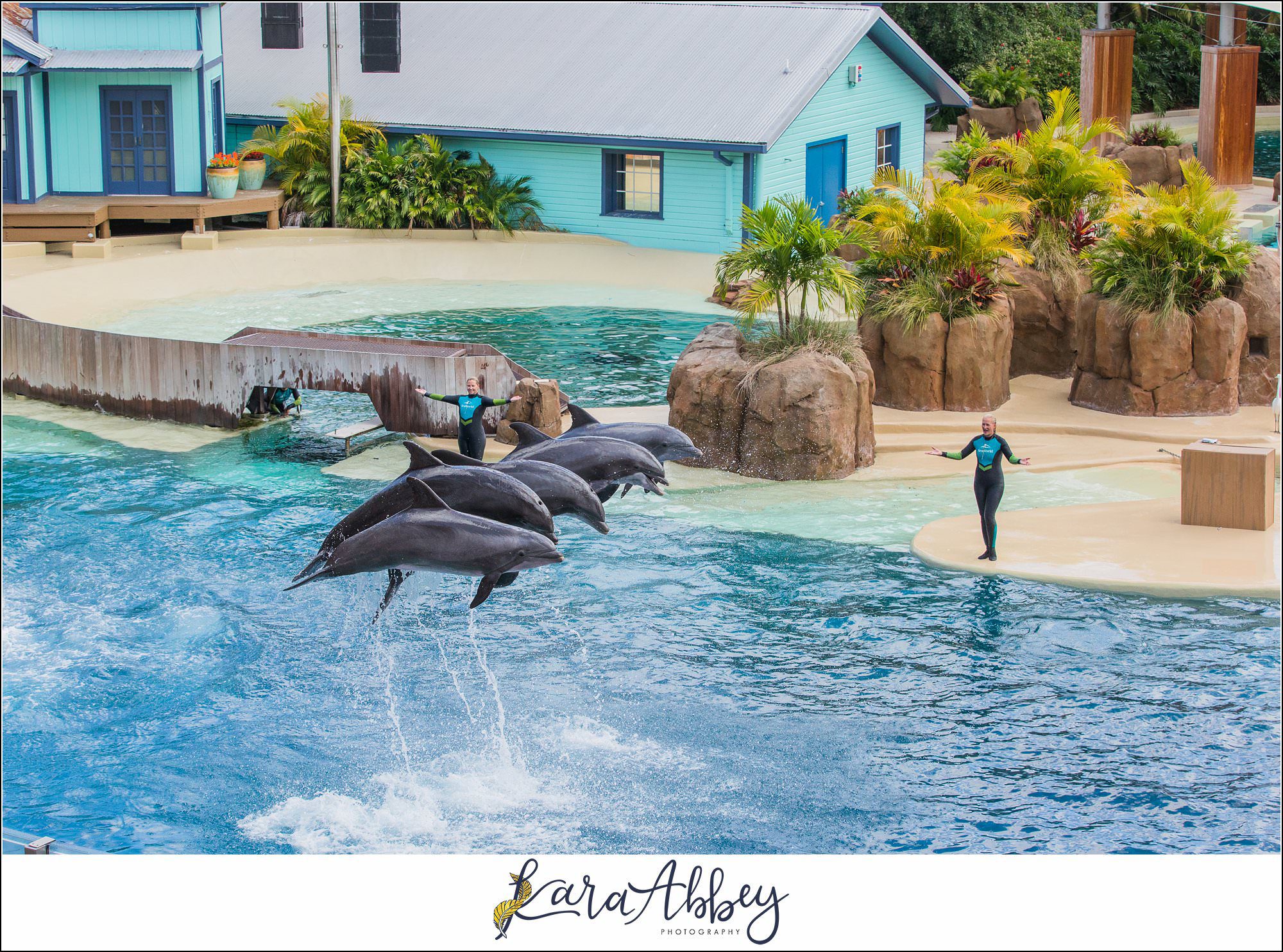 The Adventuring Abbeys go to Sea World Orlando in 2022 Family Vlog