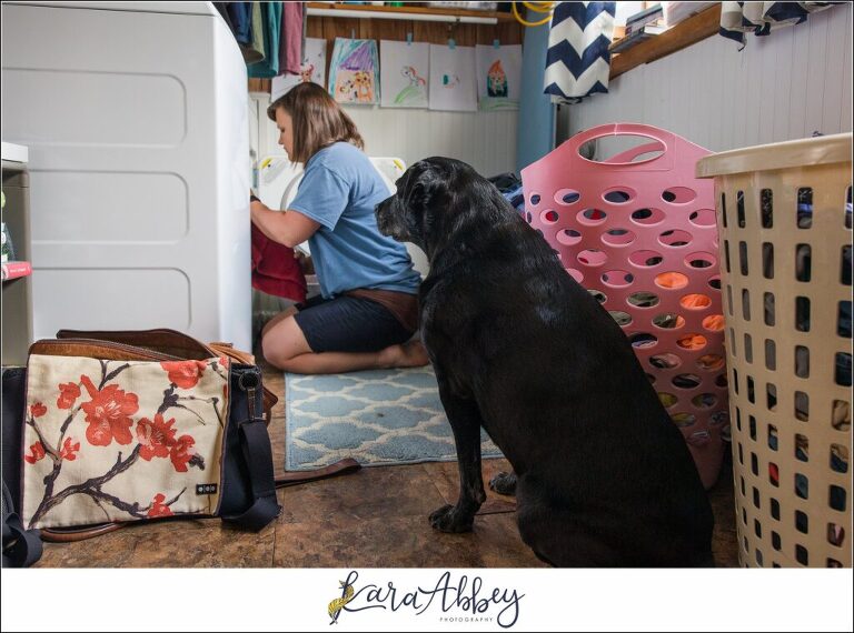 Abbys Saturday Black Lab Watching Mom Do Laundry in Irwin PA