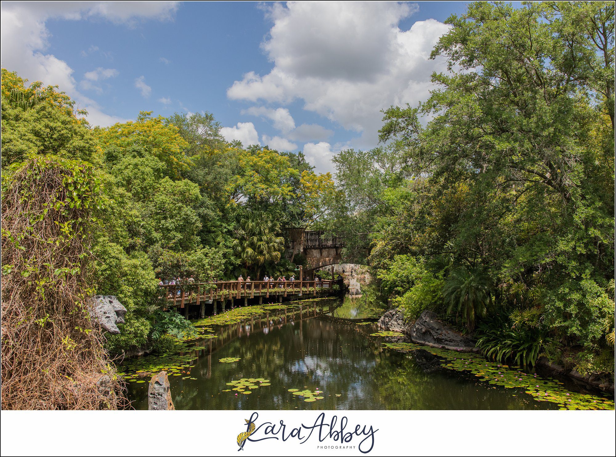 The Adventuring Abbeys go to Disney's Animal Kingdom - Family Vlog from Spring 2022