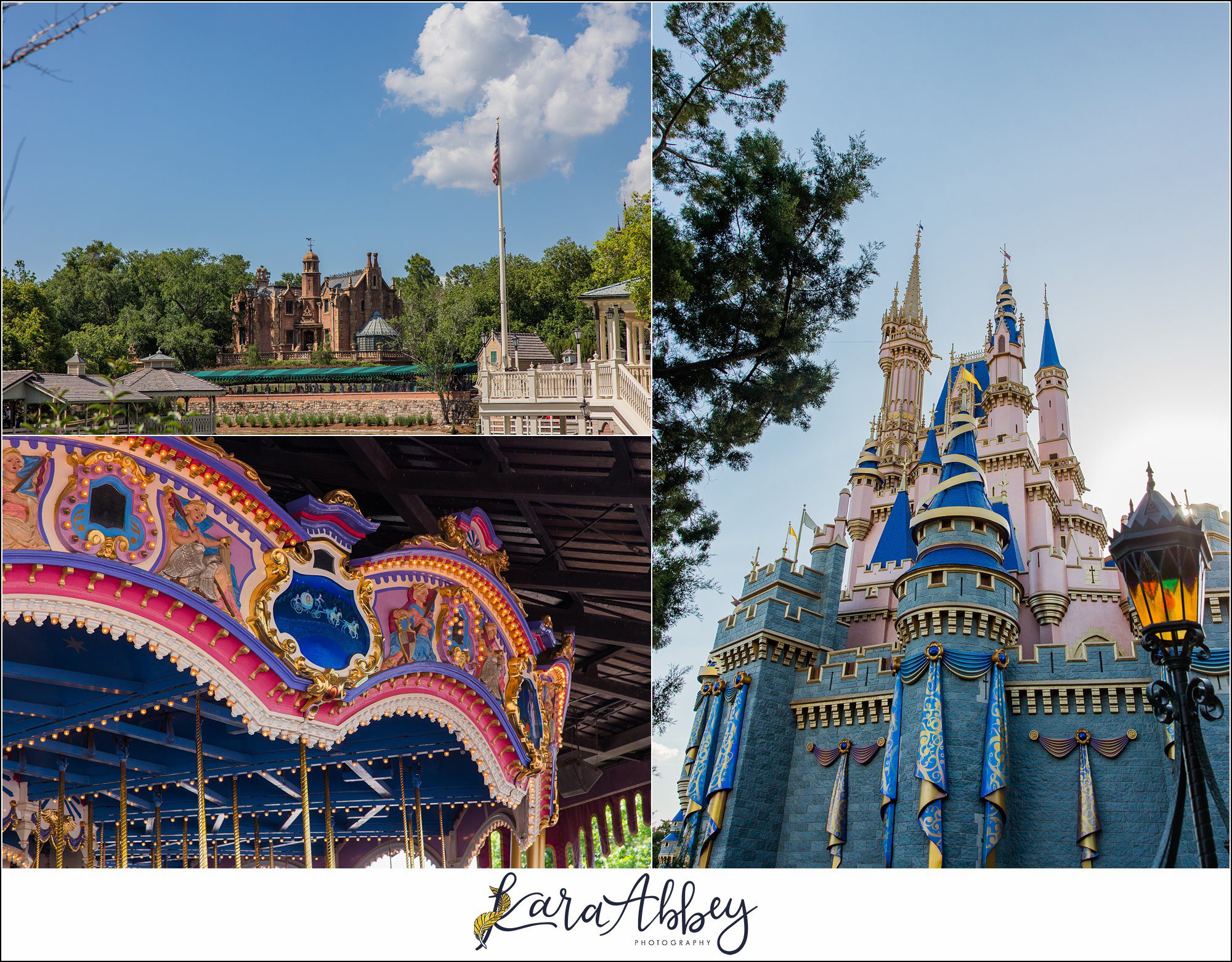 Walt Disney World Magic Kingdom Family Vlog Orlando FL