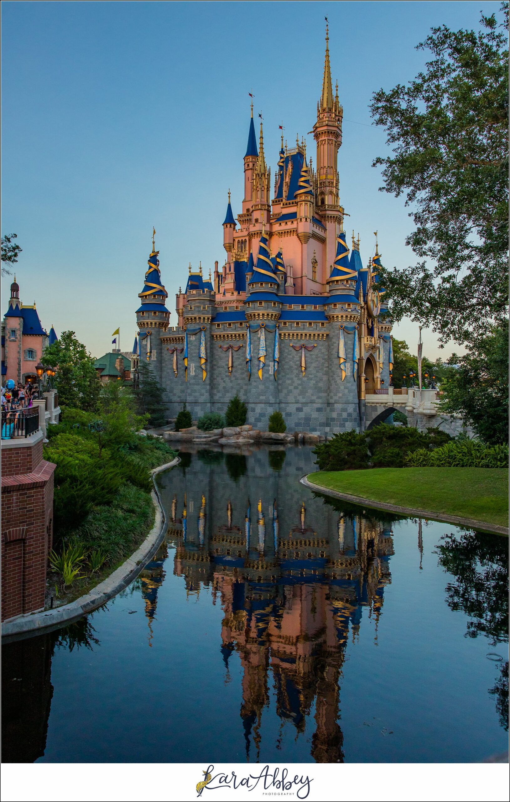 Walt Disney World Magic Kingdom Family Vlog Orlando FL