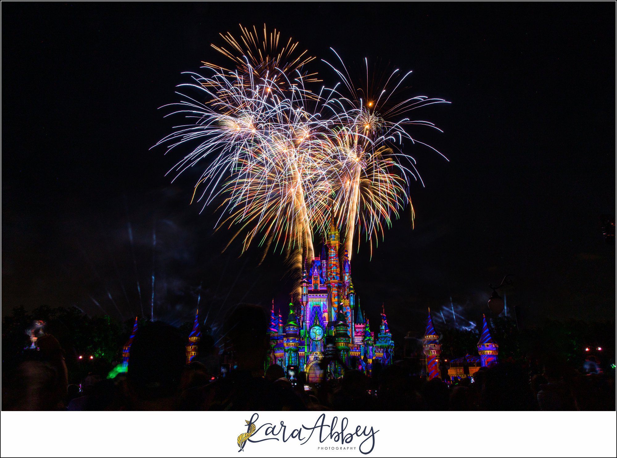 Walt Disney World Magic Kingdom Family Vlog Orlando FL