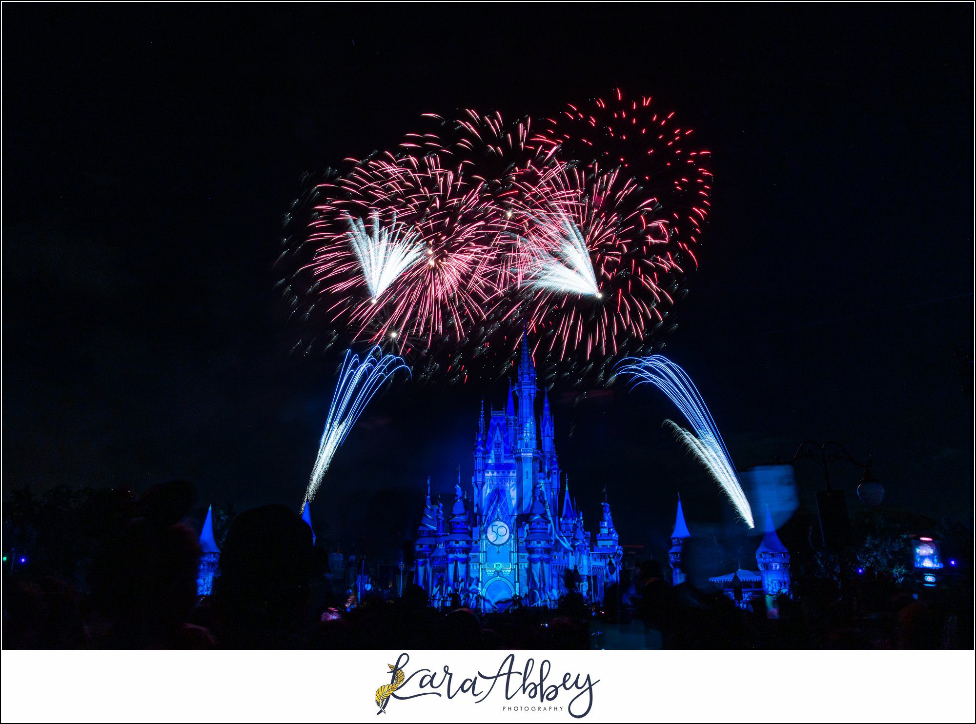 Walt Disney World Magic Kingdom Family Vlog Orlando FL