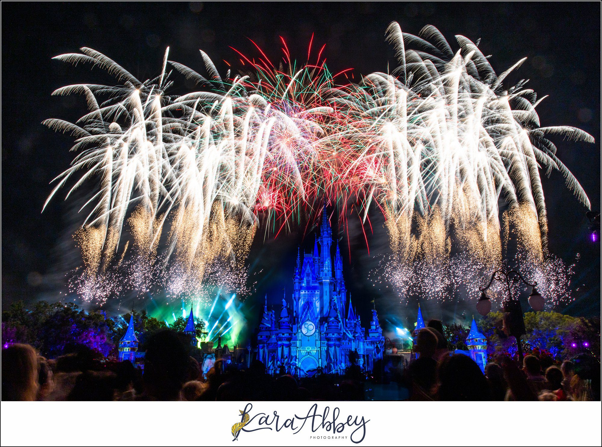 Walt Disney World Magic Kingdom Family Vlog Orlando FL
