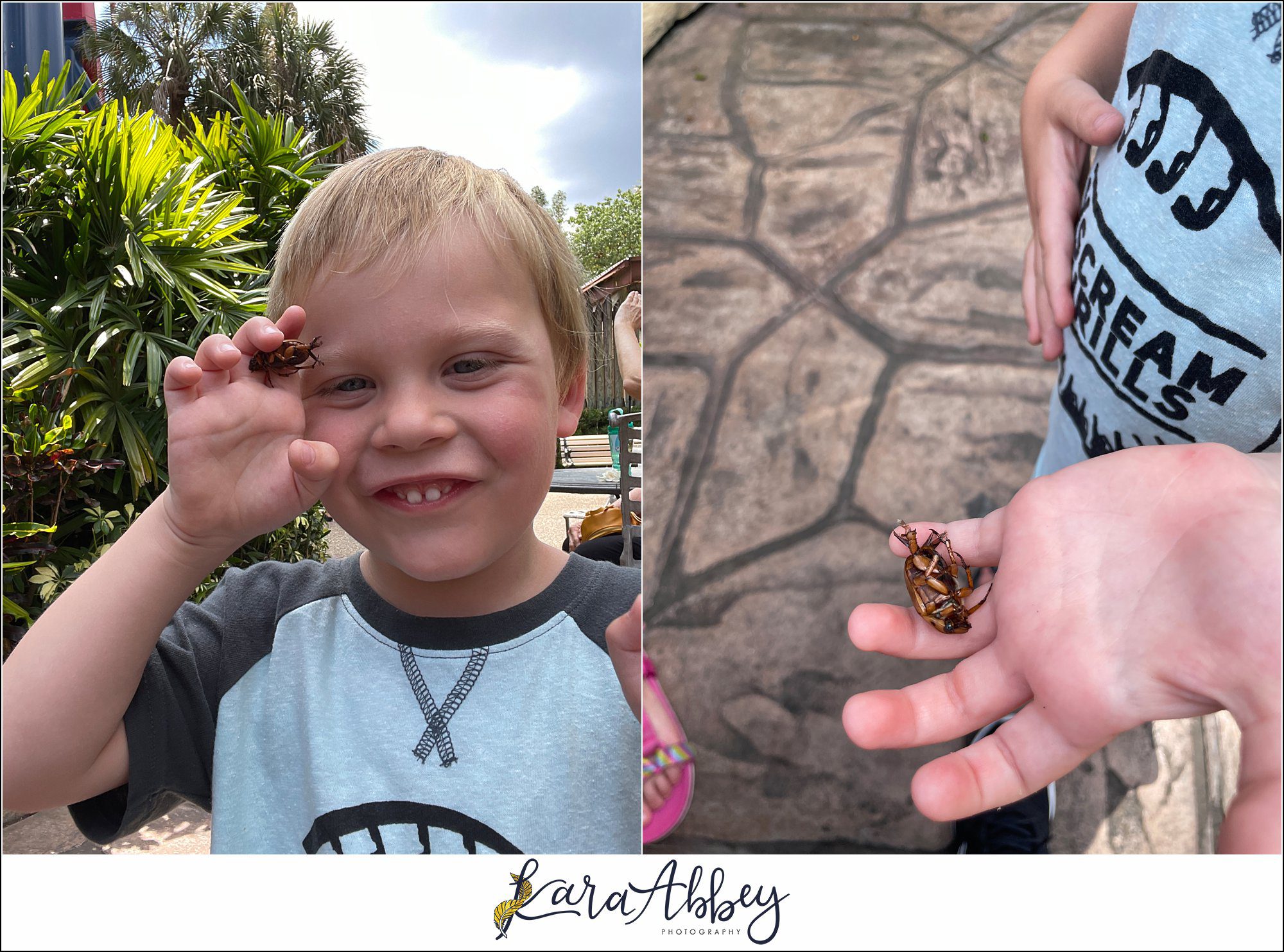Busch Gardens Tampa FL Family Vacation Vlog