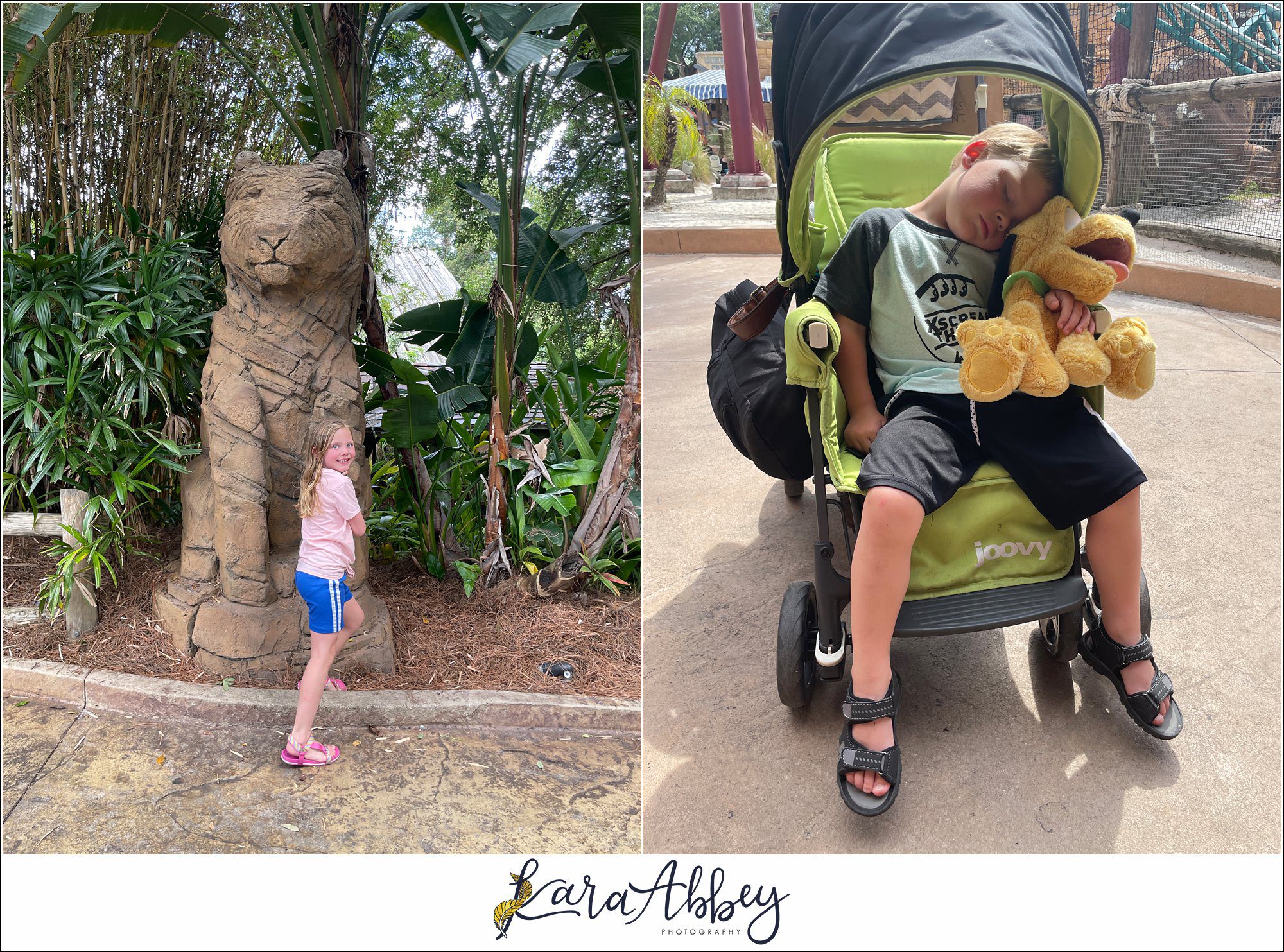 Busch Gardens Tampa FL Family Vacation Vlog