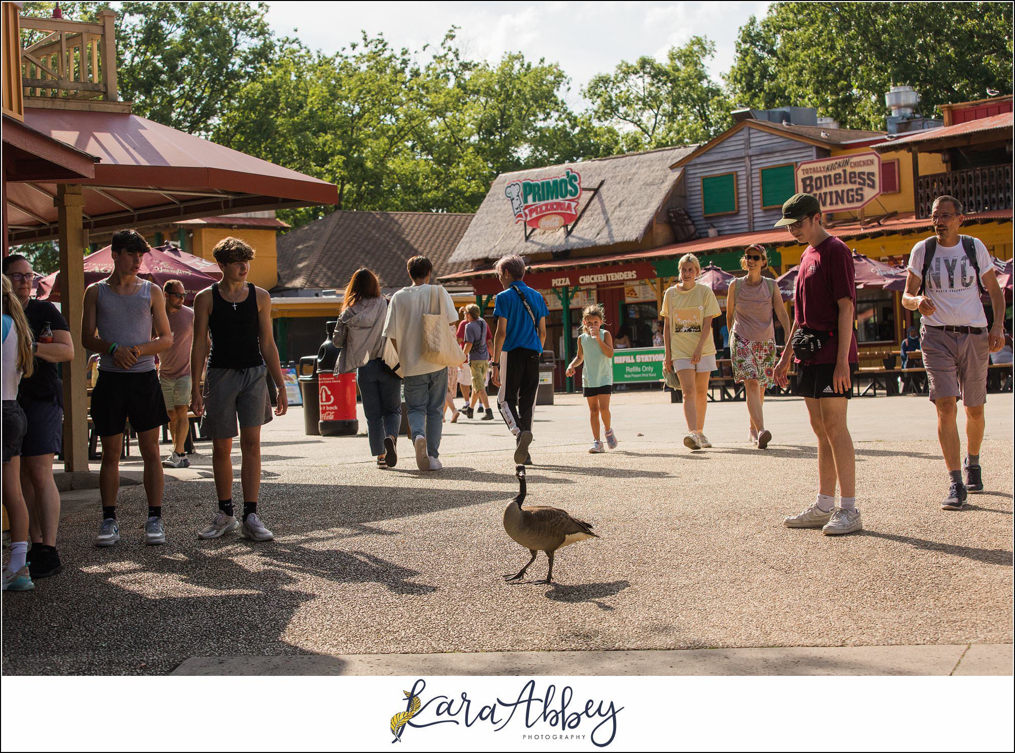 Roller Coaster Enthusiast Community Day at Six Flags Great Adventure