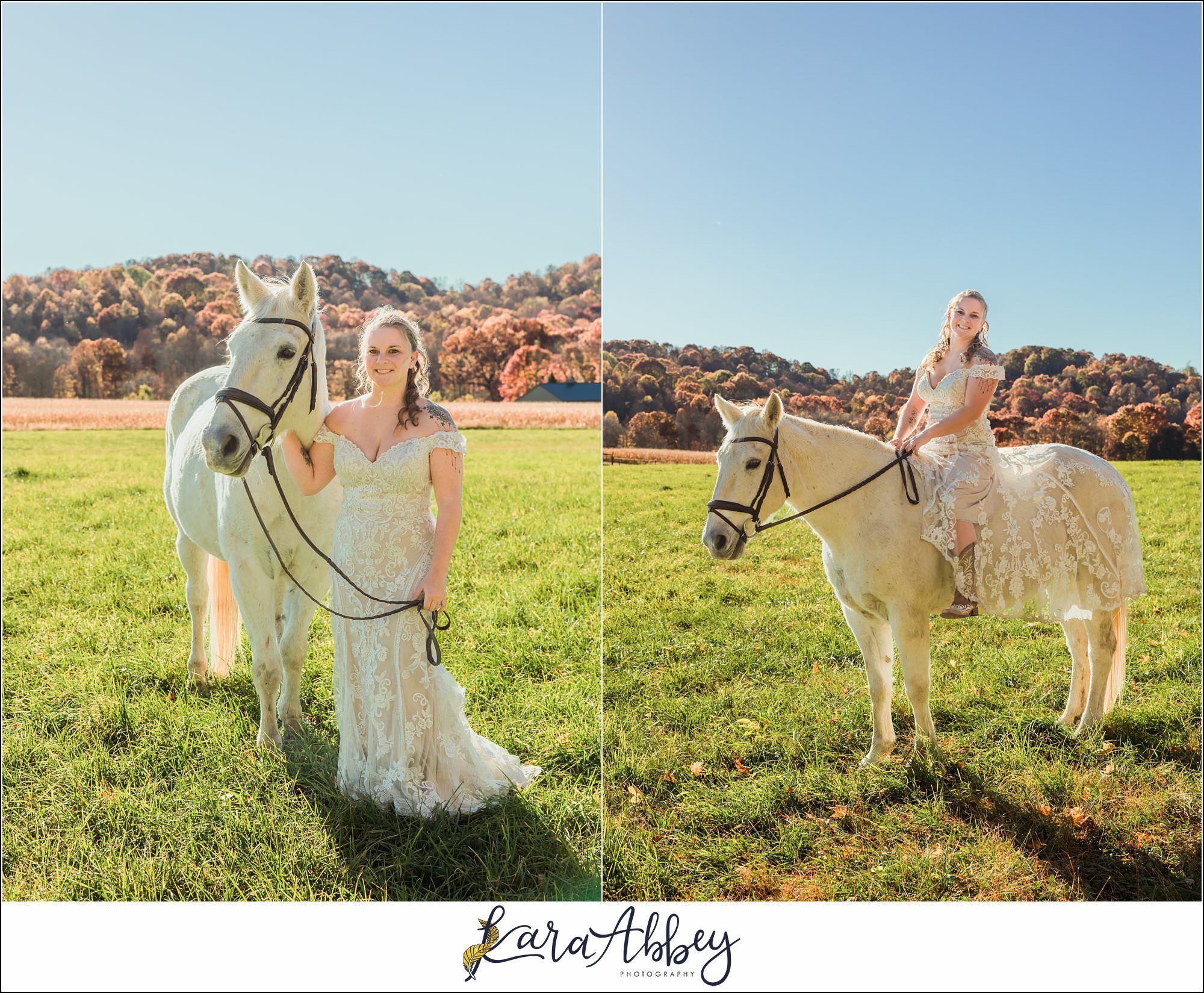 Bride And Her Horses Post-Wedding Portraits in New Alexandia PA