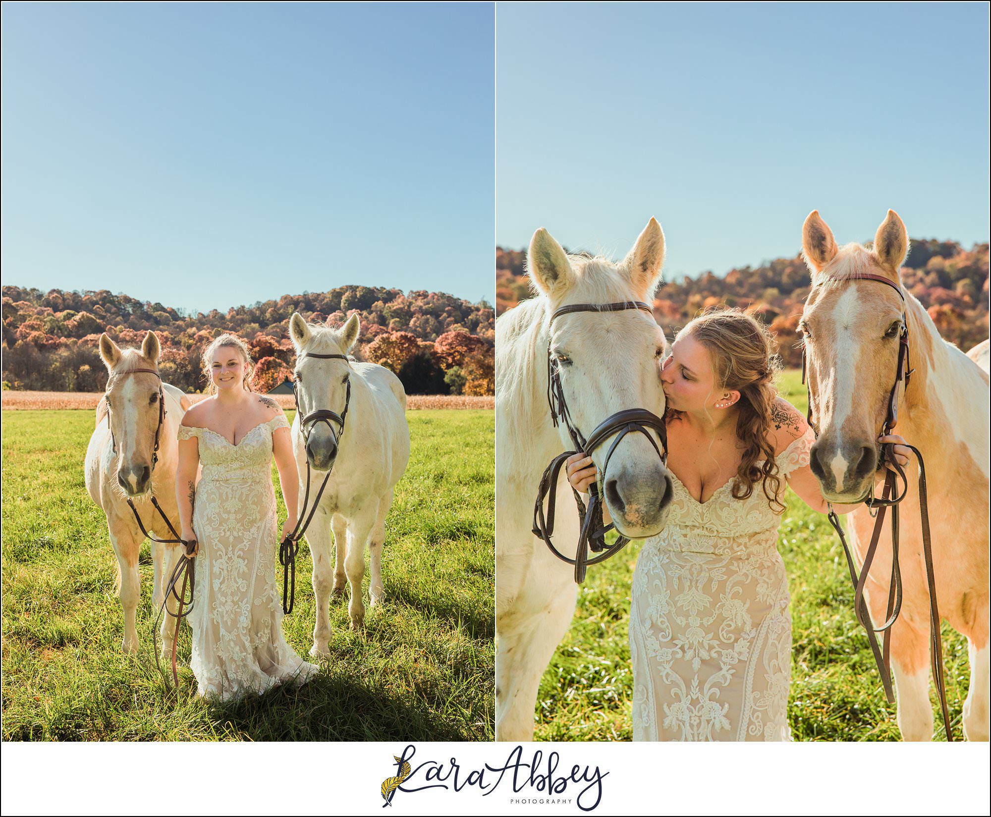 Bride And Her Horses Post-Wedding Portraits in New Alexandia PA