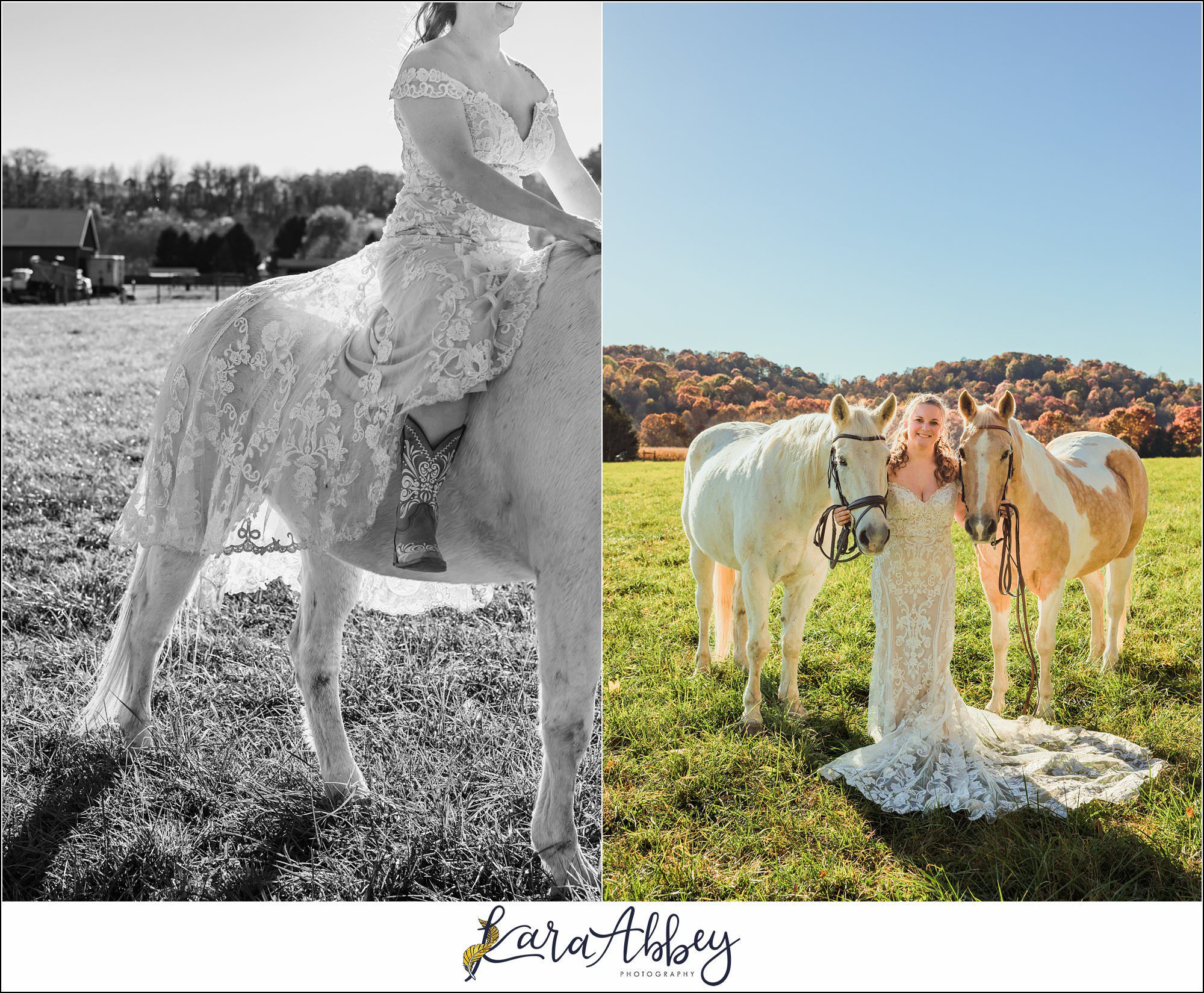 Bride And Her Horses Post-Wedding Portraits in New Alexandia PA