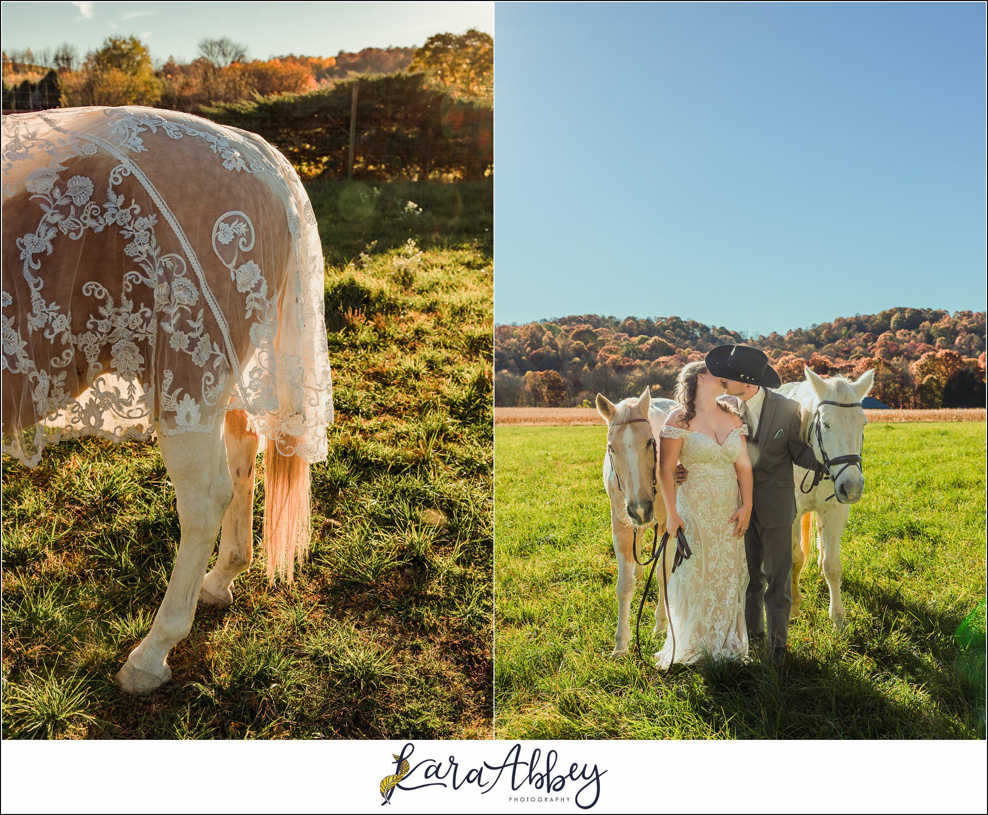 Bride And Her Horses Post-Wedding Portraits in New Alexandia PA