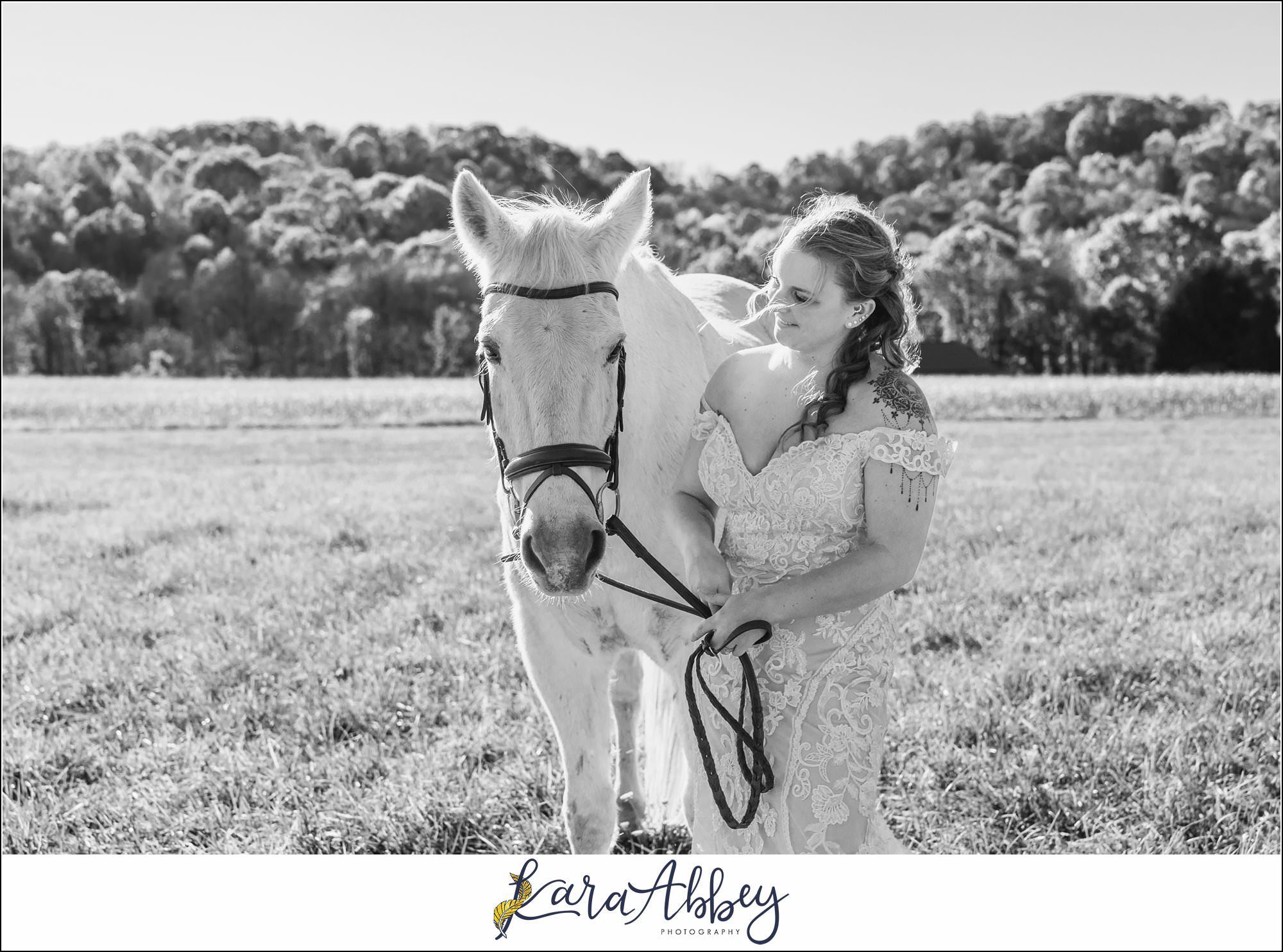 Bride And Her Horses Post-Wedding Portraits in New Alexandia PA