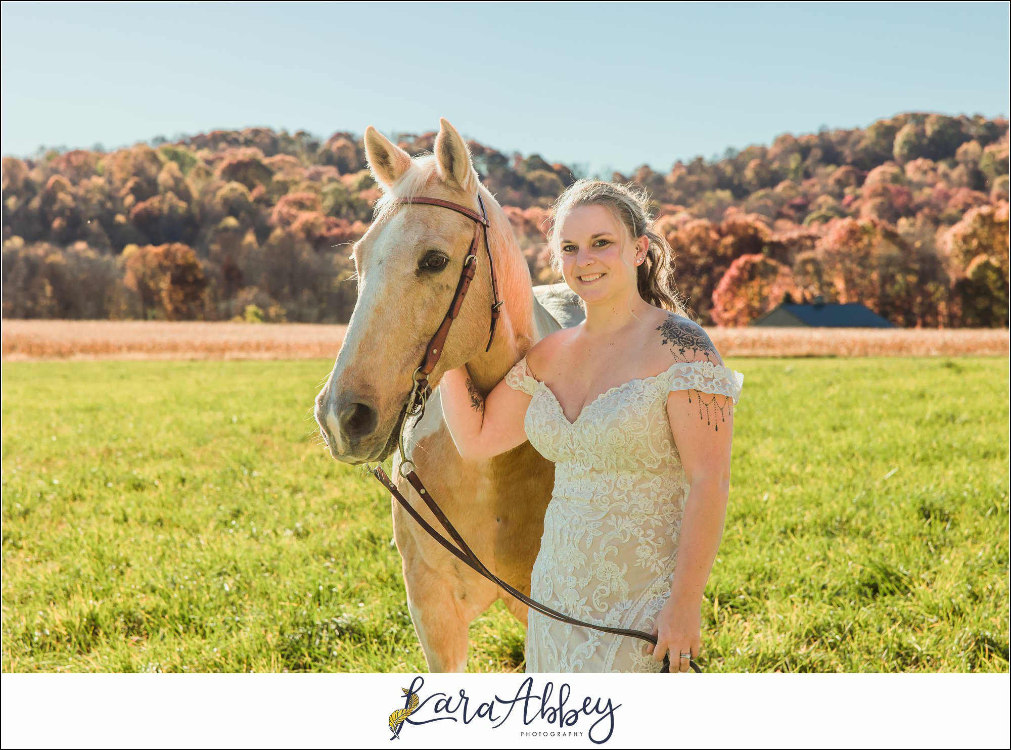 Bride And Her Horses Post-Wedding Portraits in New Alexandia PA
