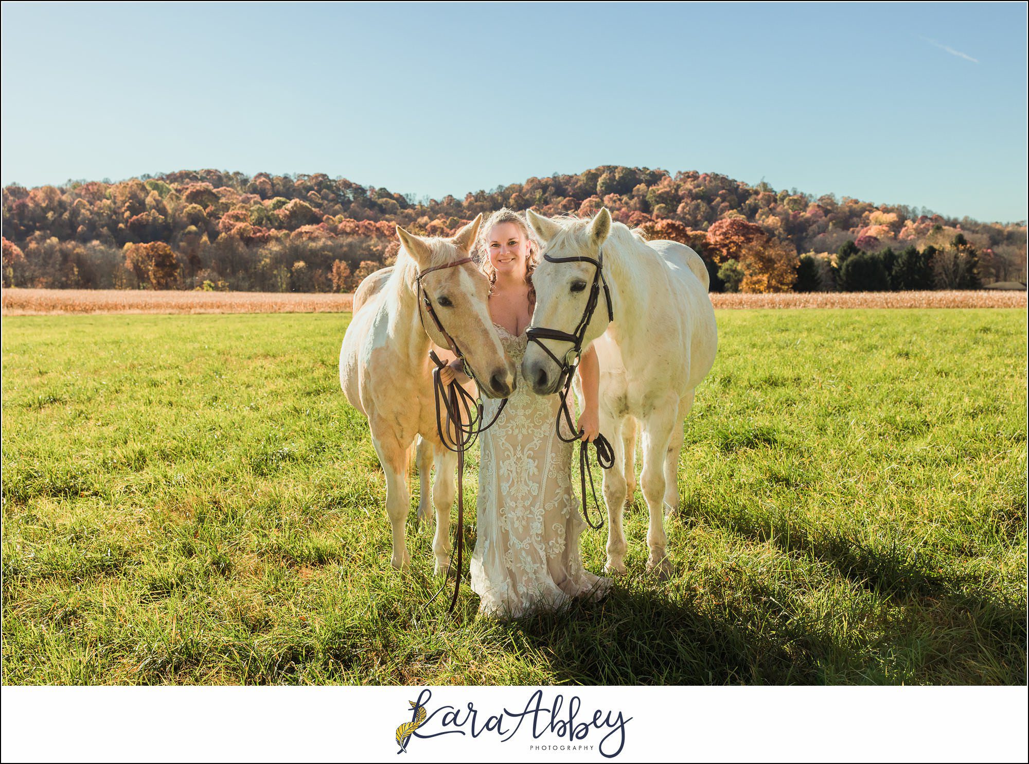 Bride And Her Horses Post-Wedding Portraits in New Alexandia PA