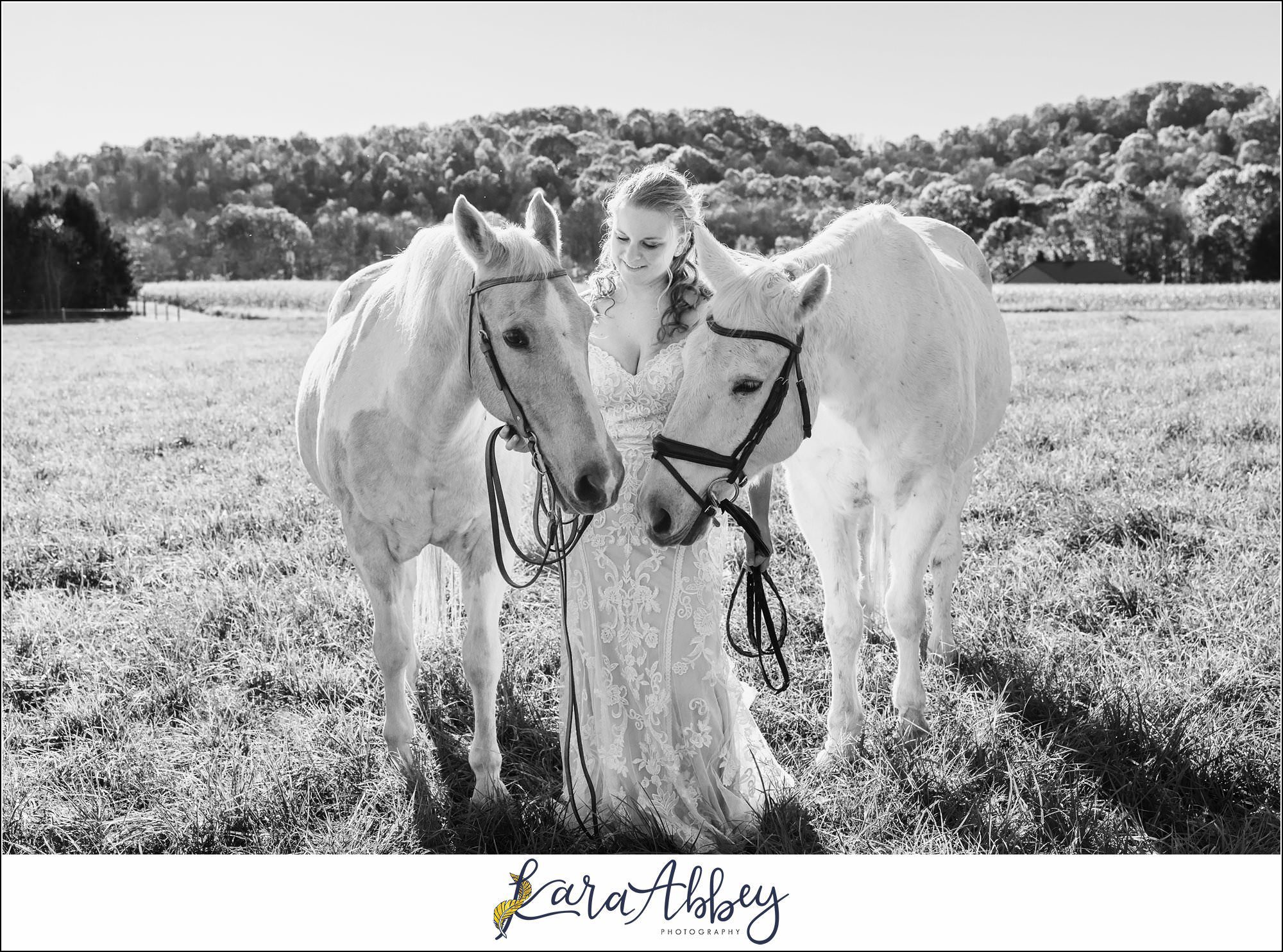 Bride And Her Horses Post-Wedding Portraits in New Alexandia PA