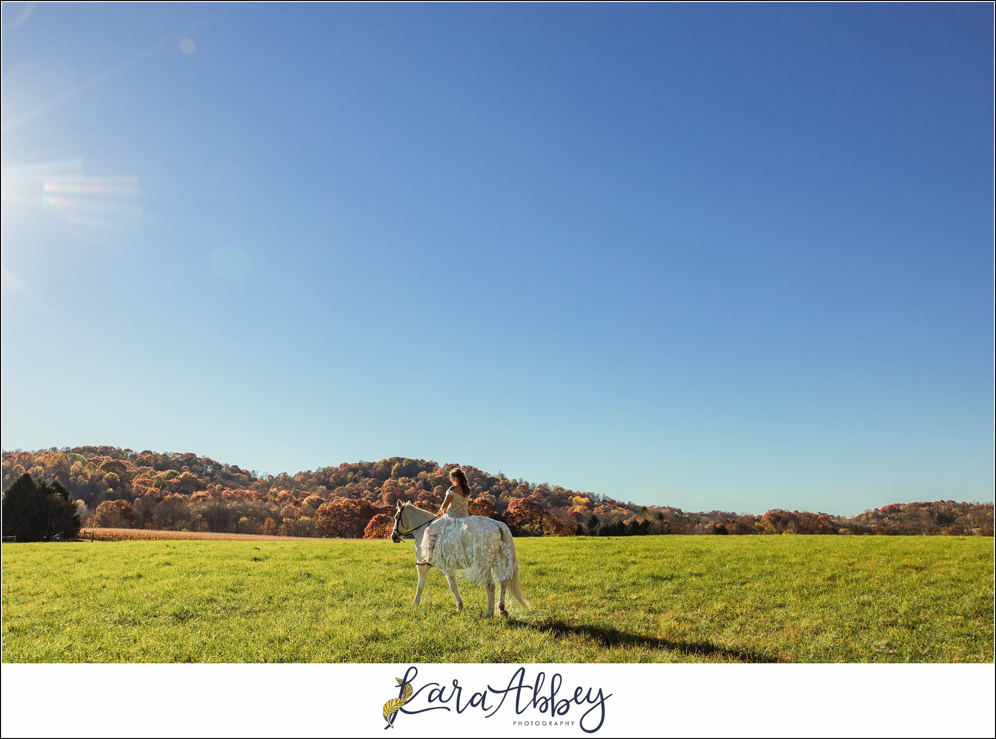 Bride And Her Horses Post-Wedding Portraits in New Alexandia PA