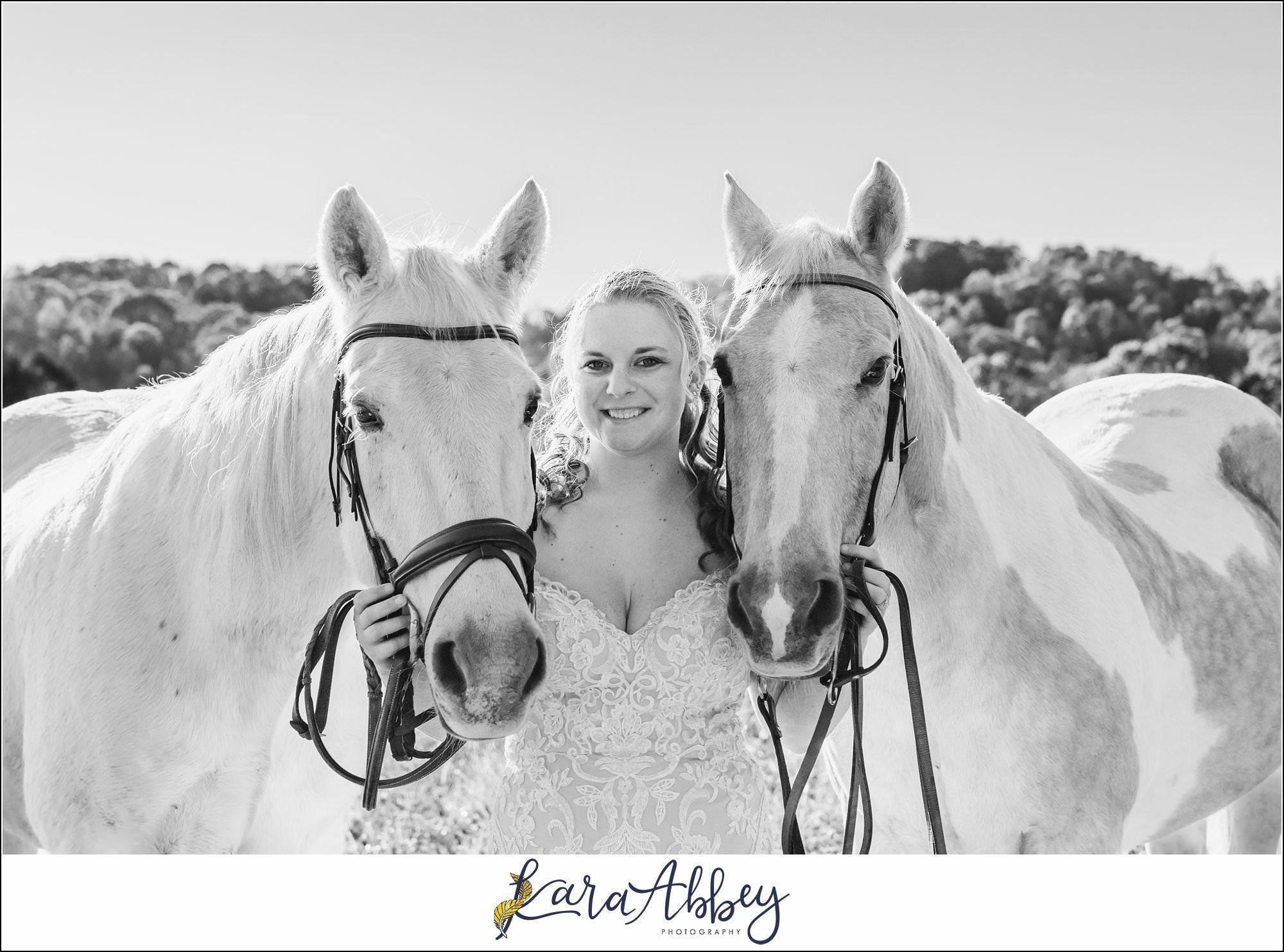 Bride And Her Horses Post-Wedding Portraits in New Alexandia PA