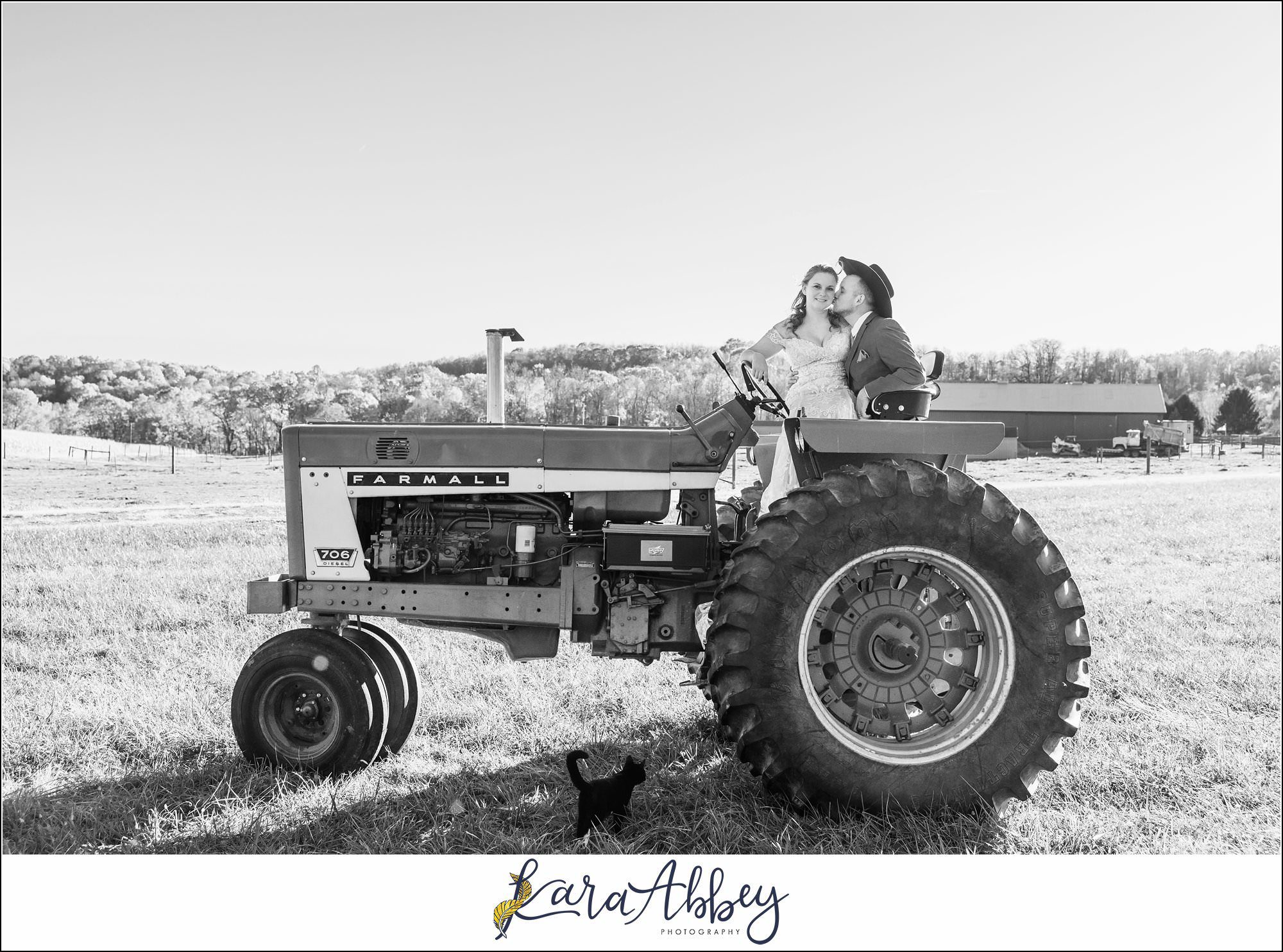 Bride And Her Horses Post-Wedding Portraits in New Alexandia PA