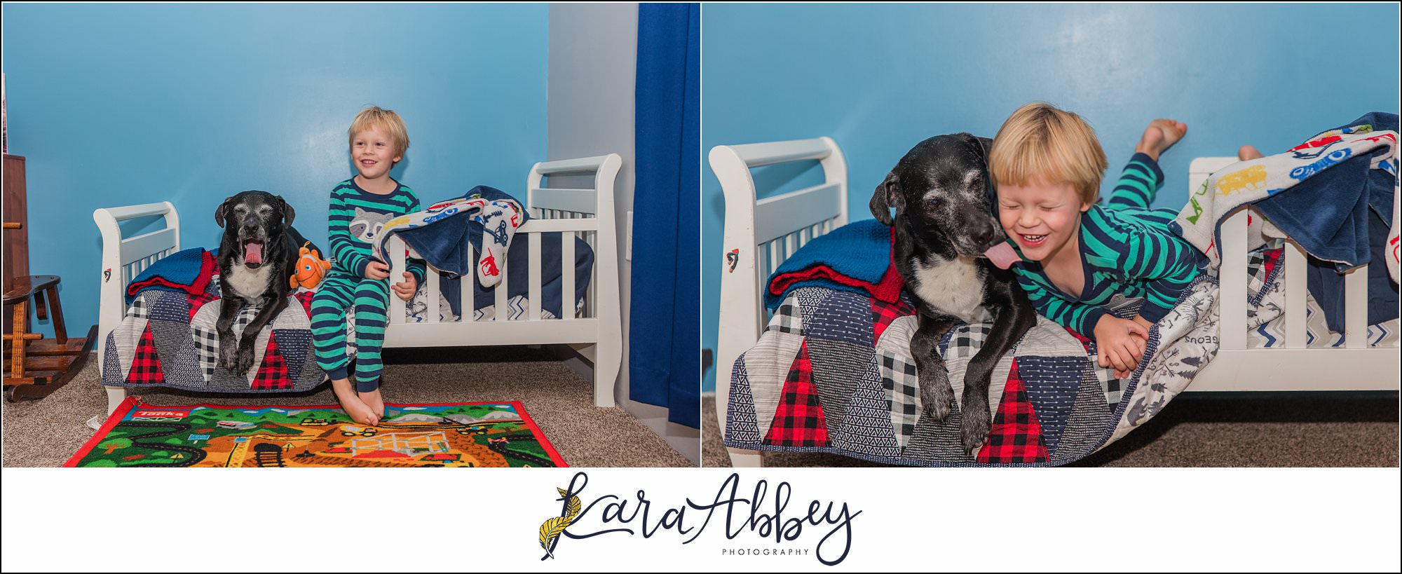 Abbys Saturday Blooper Reel from 2022 in Irwin PA - hilarious behind the scenes of my weekly project taking photos of our dog