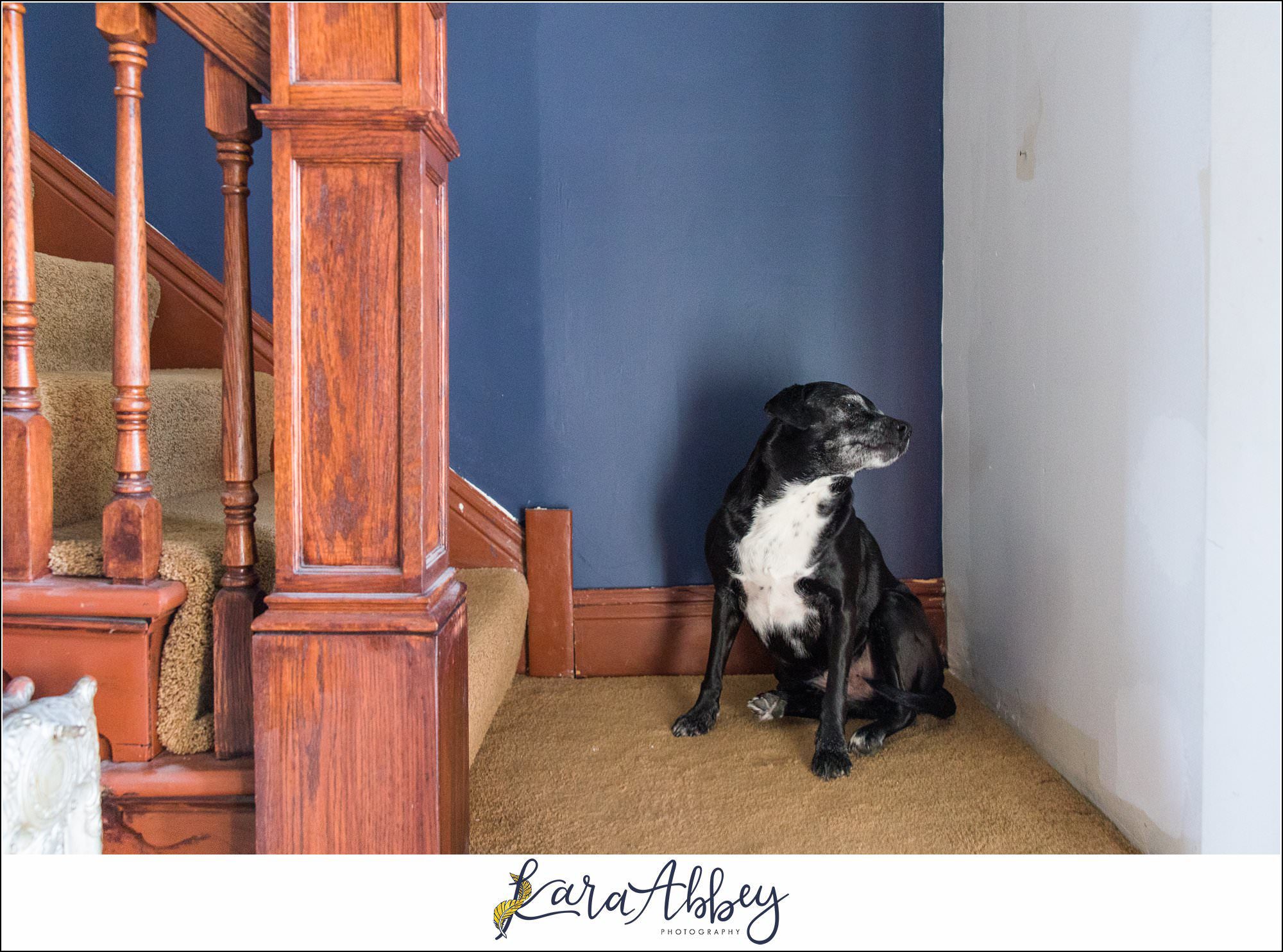 Abbys Saturday Blooper Reel from 2022 in Irwin PA - hilarious behind the scenes of my weekly project taking photos of our dog