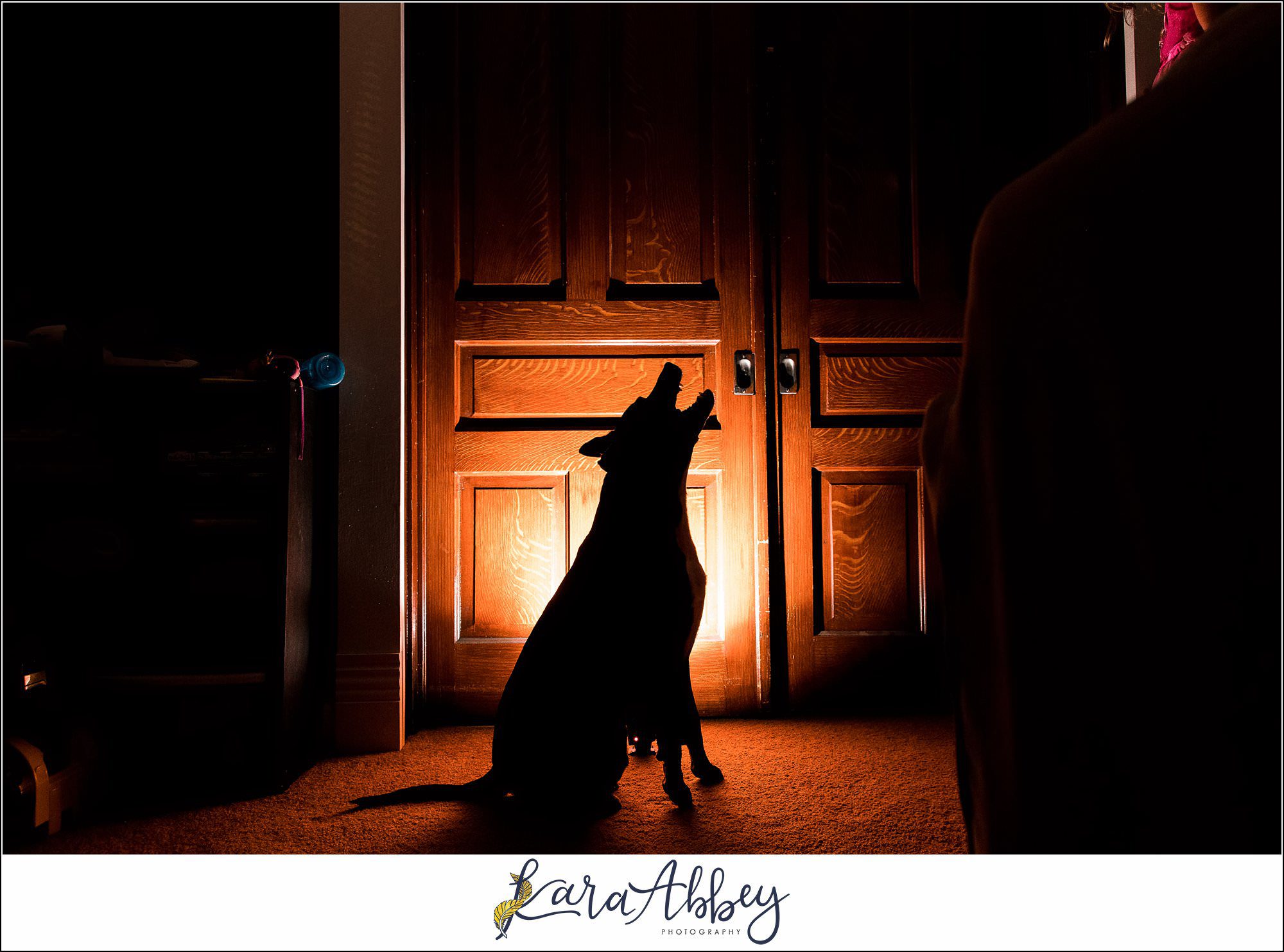 Abbys Saturday Blooper Reel from 2022 in Irwin PA - hilarious behind the scenes of my weekly project taking photos of our dog