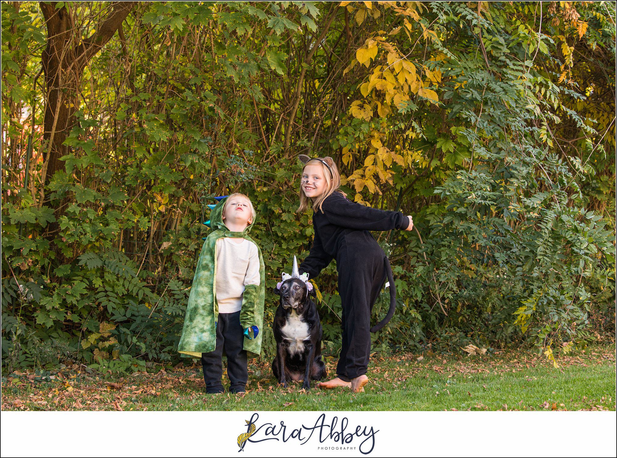 Abbys Saturday Blooper Reel from 2022 in Irwin PA - hilarious behind the scenes of my weekly project taking photos of our dog