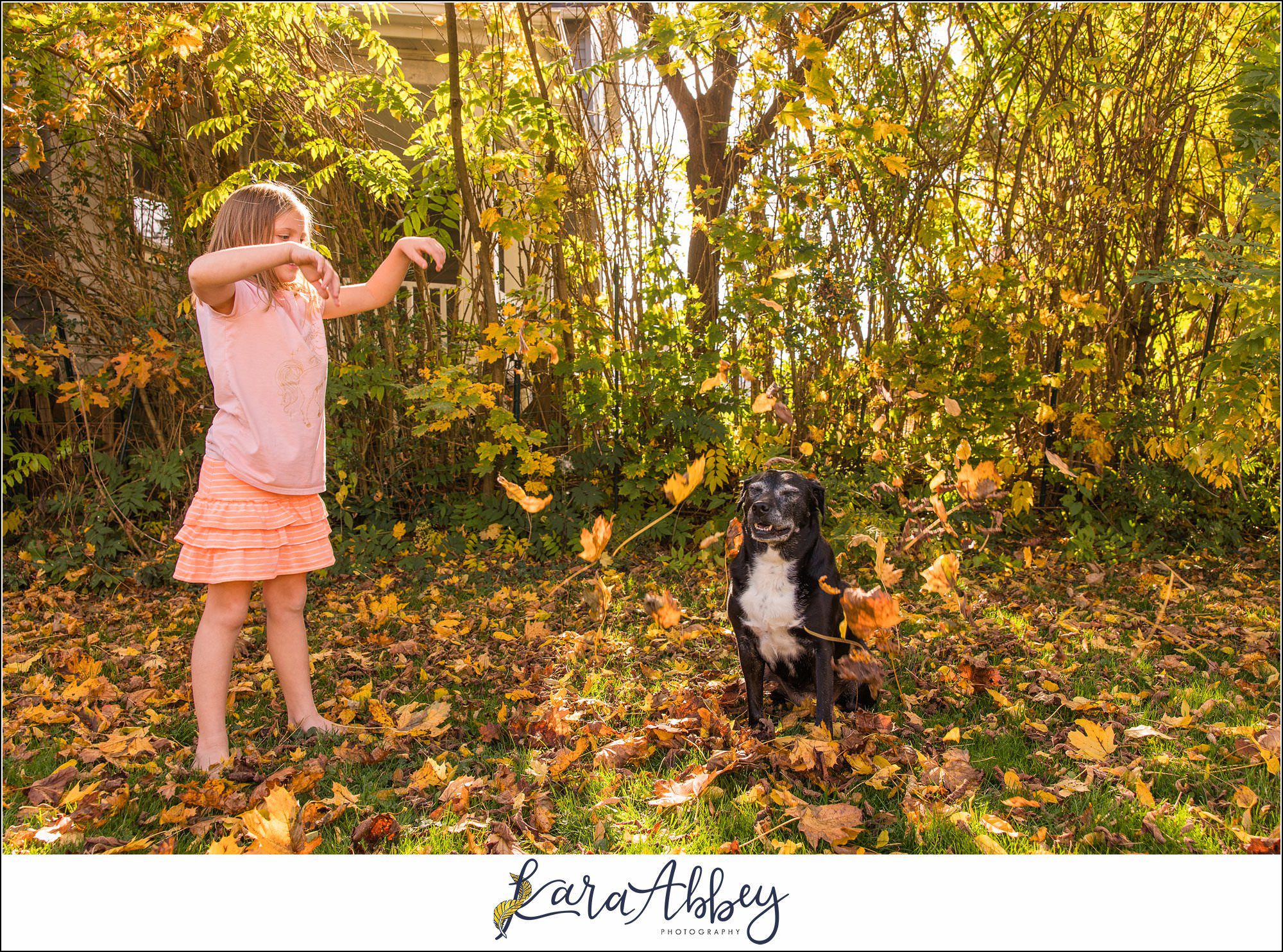 Abbys Saturday Blooper Reel from 2022 in Irwin PA - hilarious behind the scenes of my weekly project taking photos of our dog