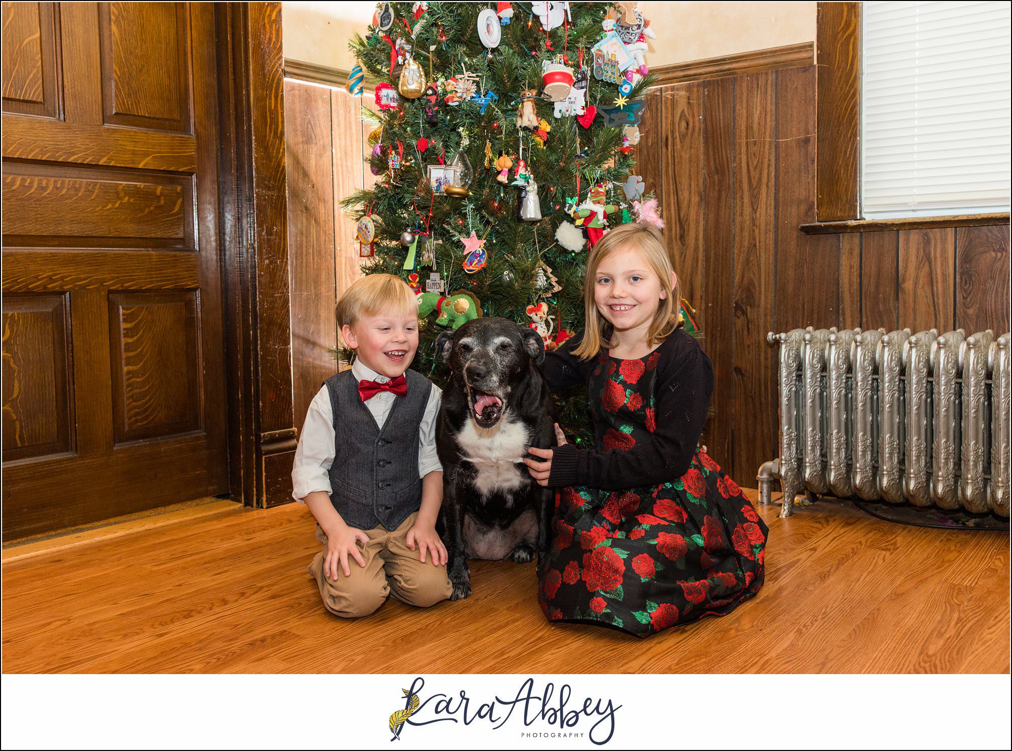 Abbys Saturday Blooper Reel from 2022 in Irwin PA - hilarious behind the scenes of my weekly project taking photos of our dog