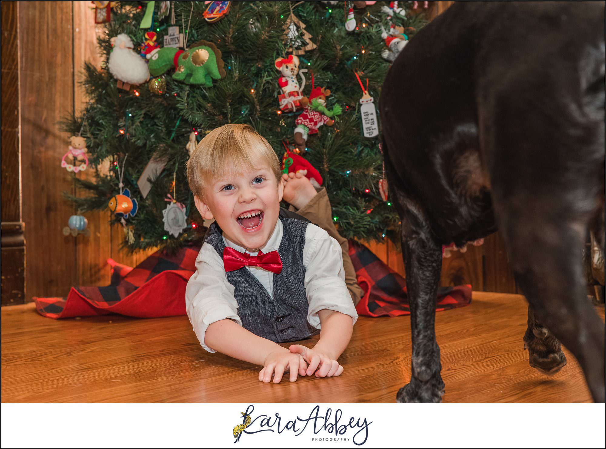 Abbys Saturday Blooper Reel from 2022 in Irwin PA - hilarious behind the scenes of my weekly project taking photos of our dog