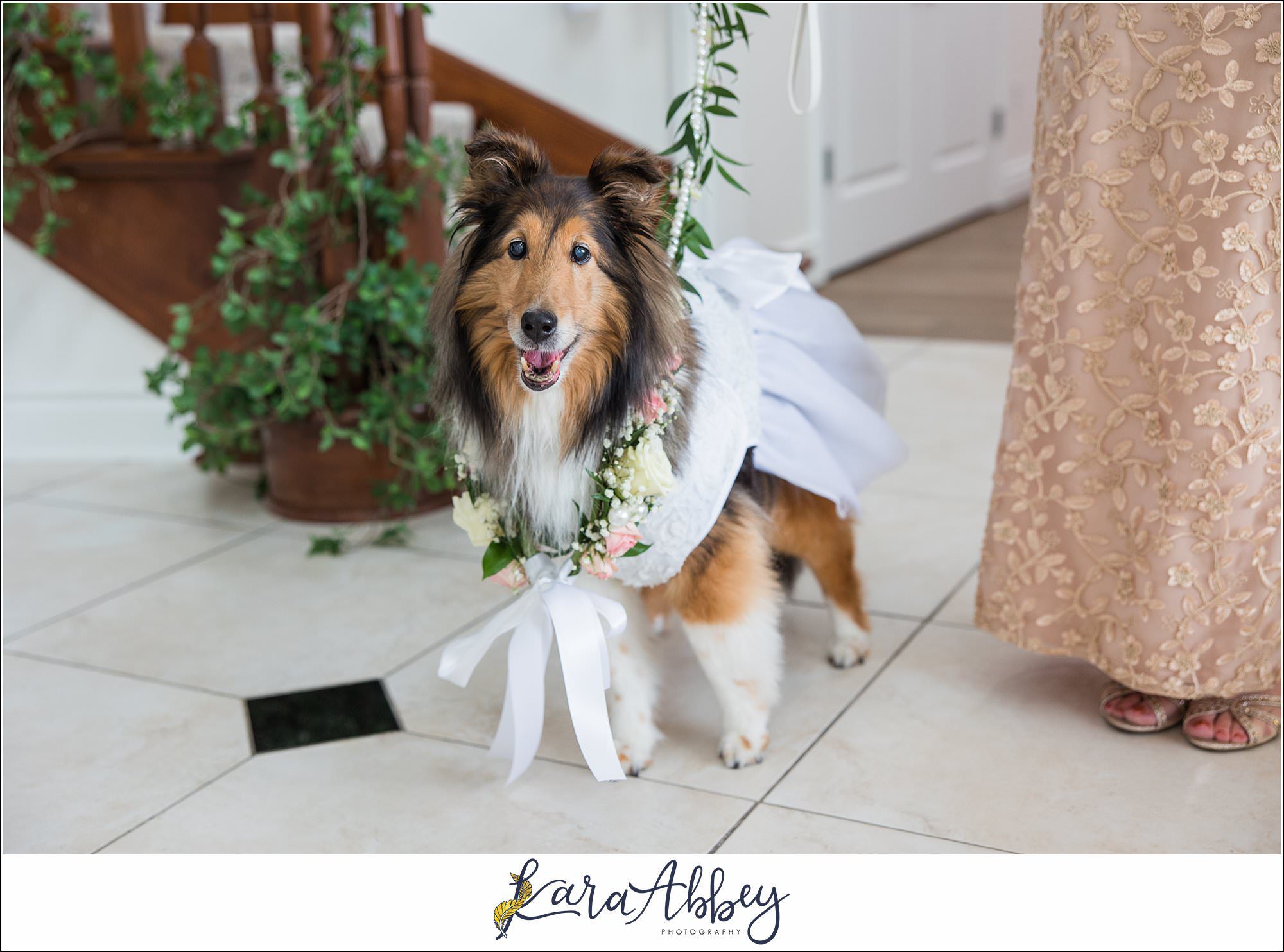 Summer Wedding at Twelve Oaks Mansion in Mars, PA